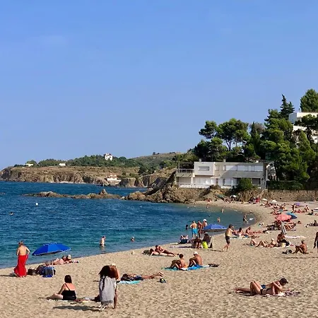 Charming 3 Bed Artist In * Argeles-sur-Mer