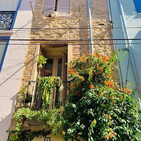 Holiday home Charming 3 Bed Artist In Argeles-sur-Mer
